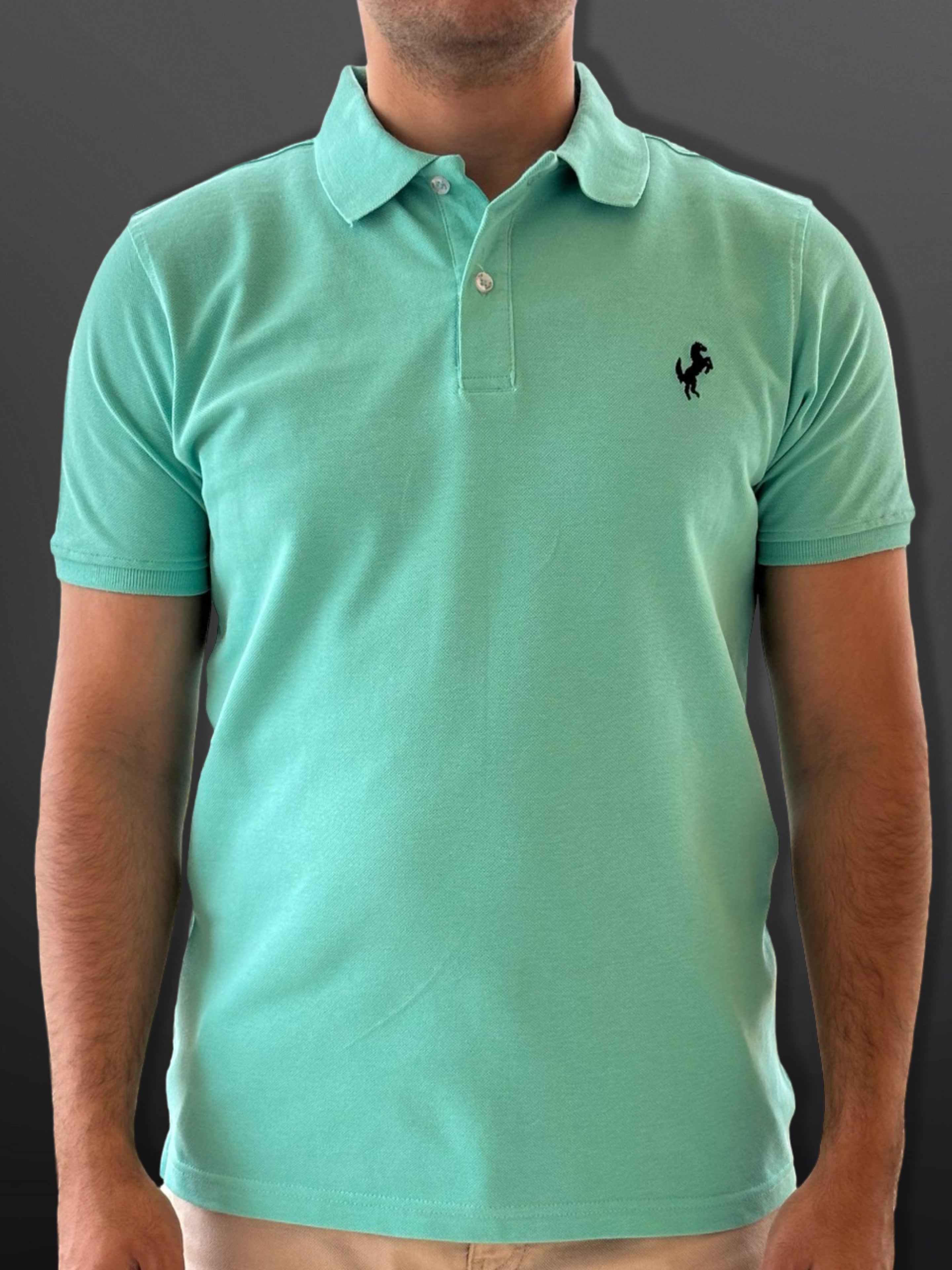 Polo T-Shirt Classic for men, Aqua