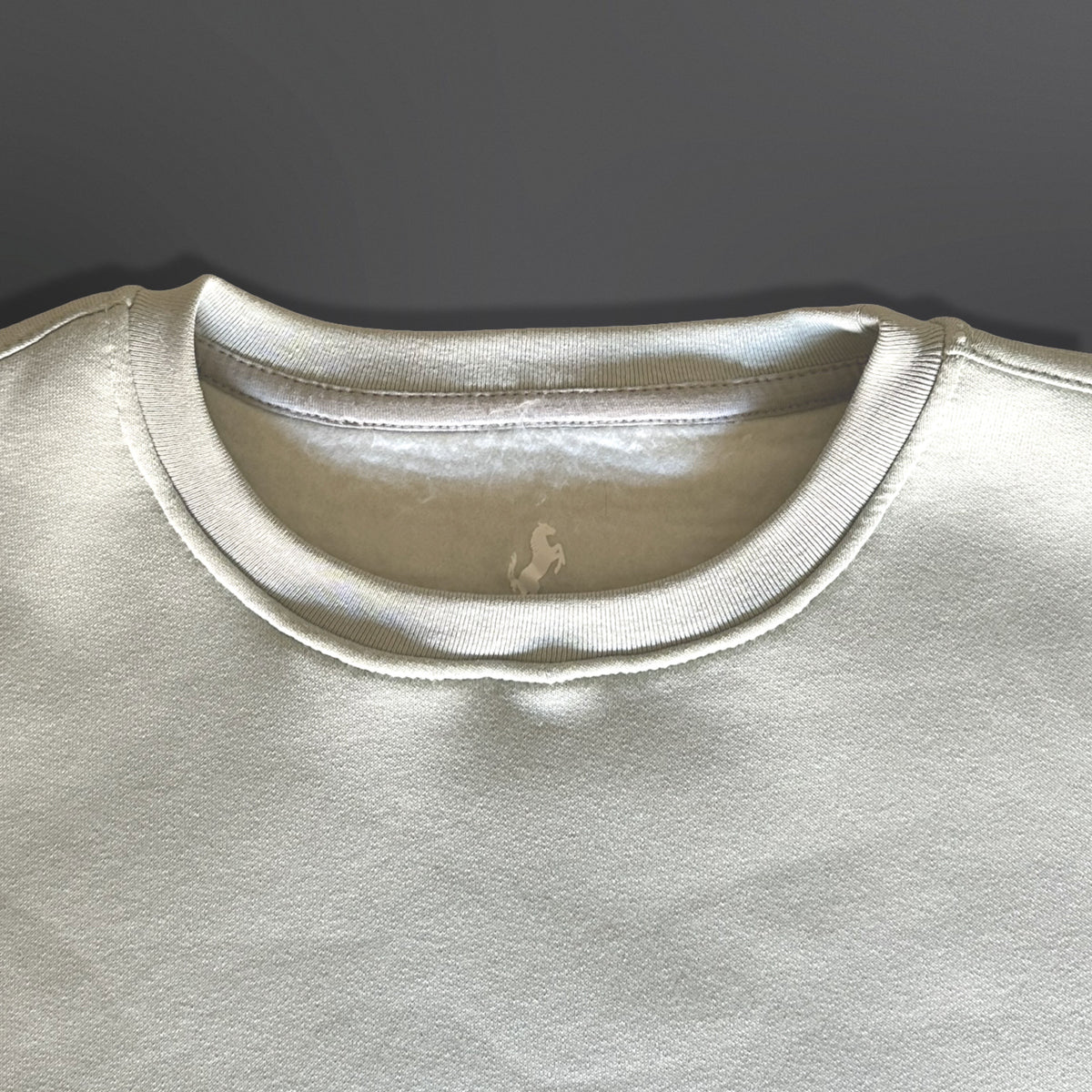 Sweatshirt Crew Neck Plain, Pistachio