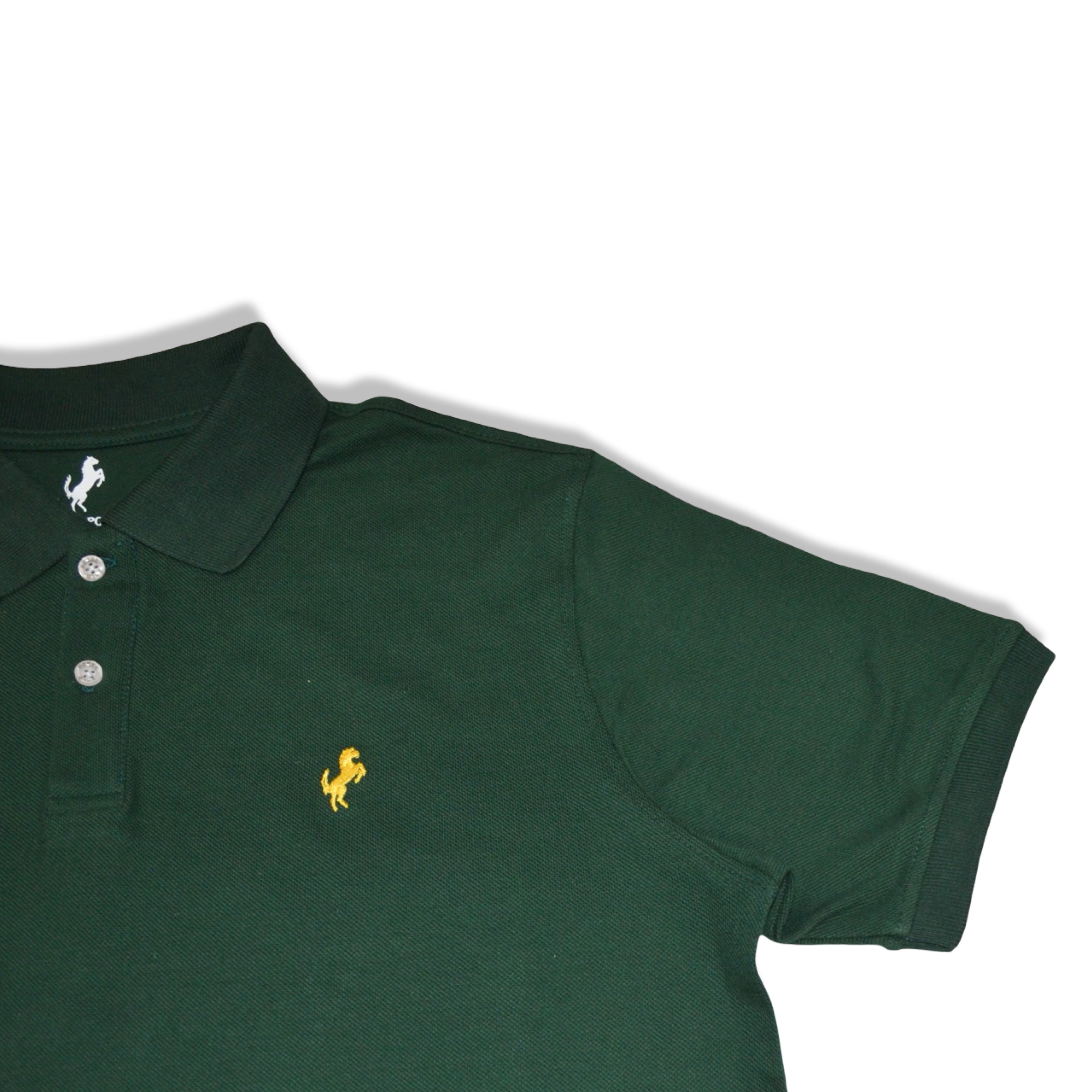 Polo T-Shirt Classic for men, Green