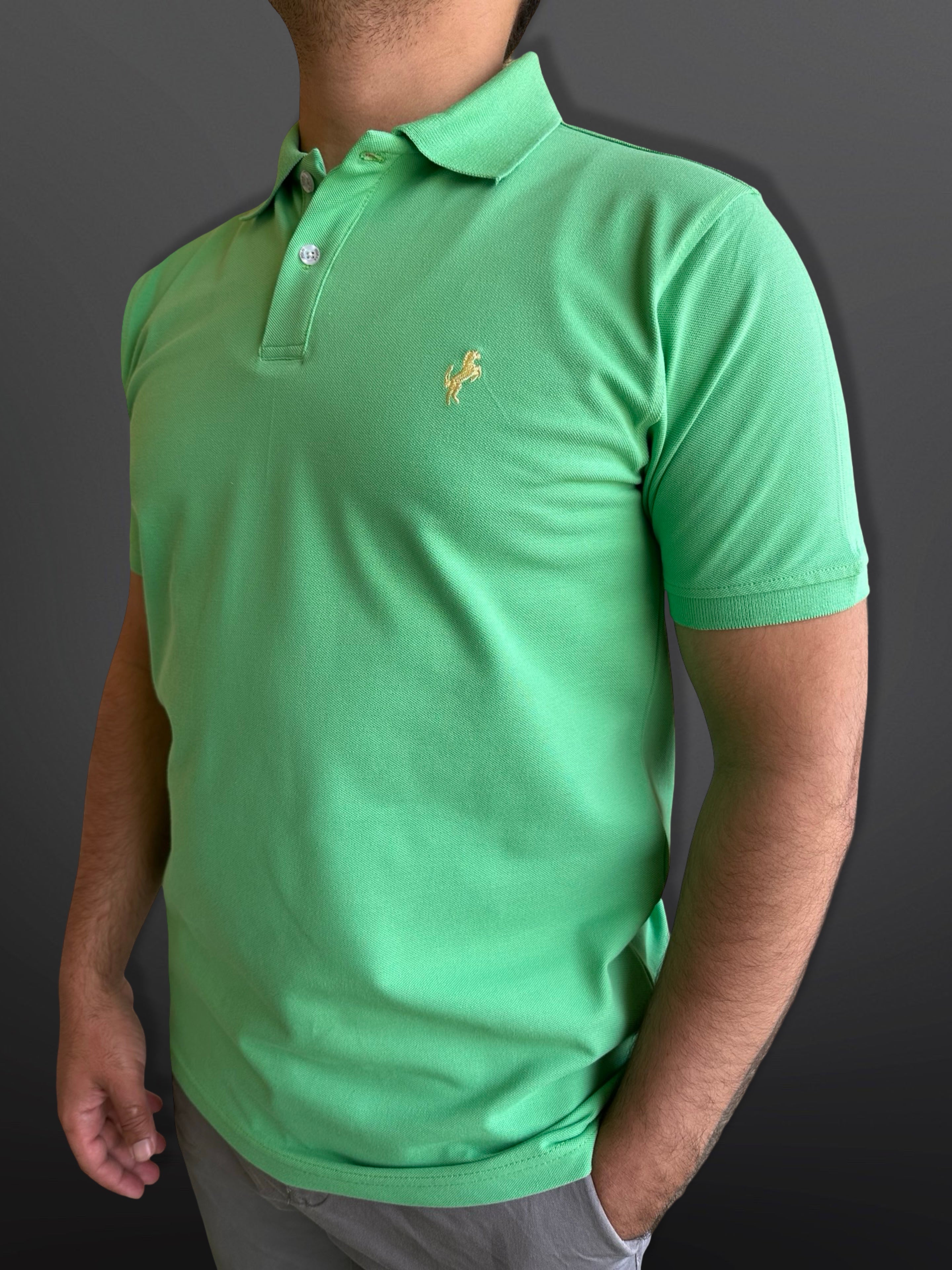 Polo T-Shirt Classic for men, Mint Green