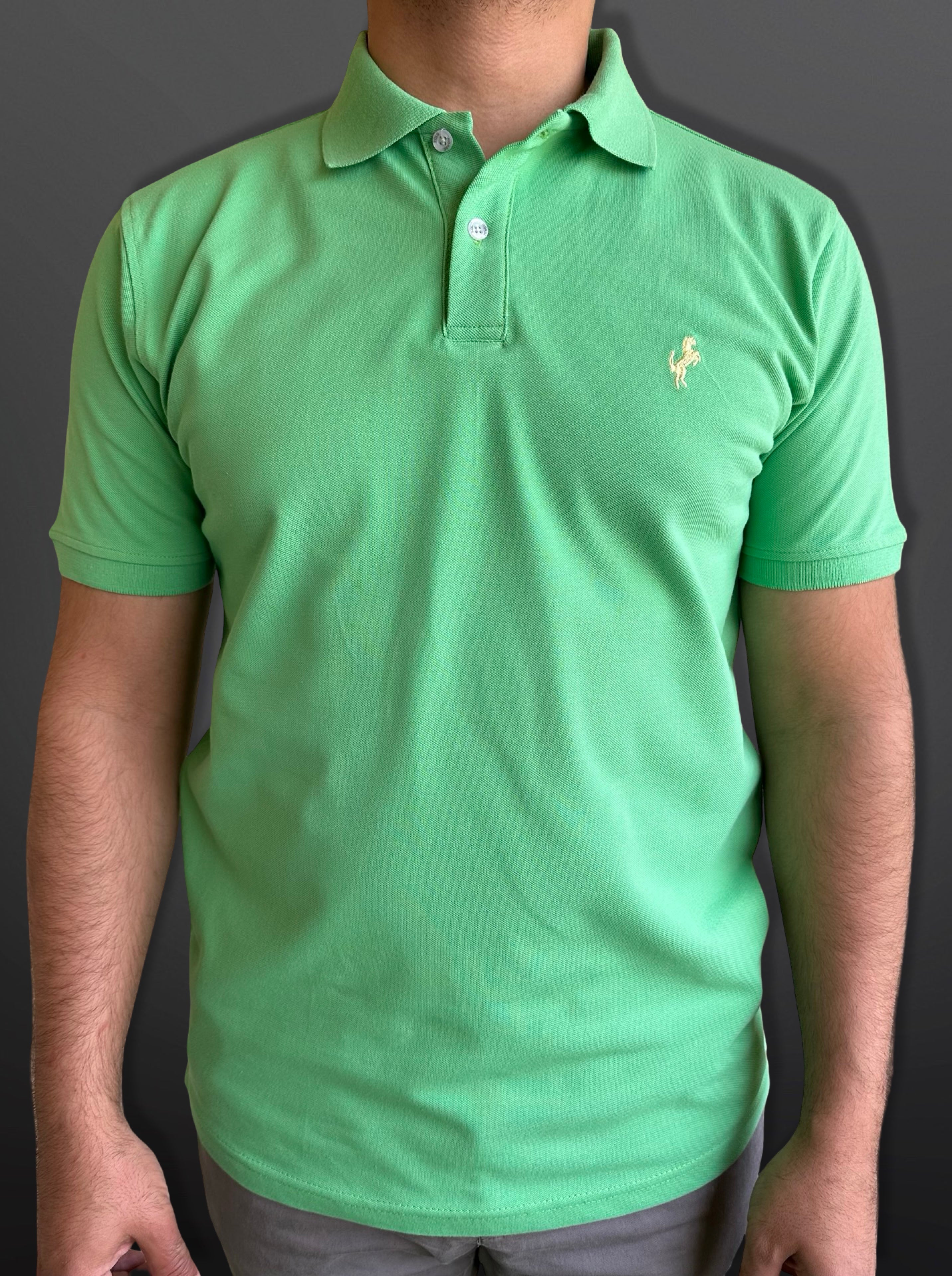 Polo T-Shirt Classic for men, Mint Green